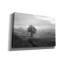  «Morning Haze 2» par Lori Deiter, art mural sur toile-241923821