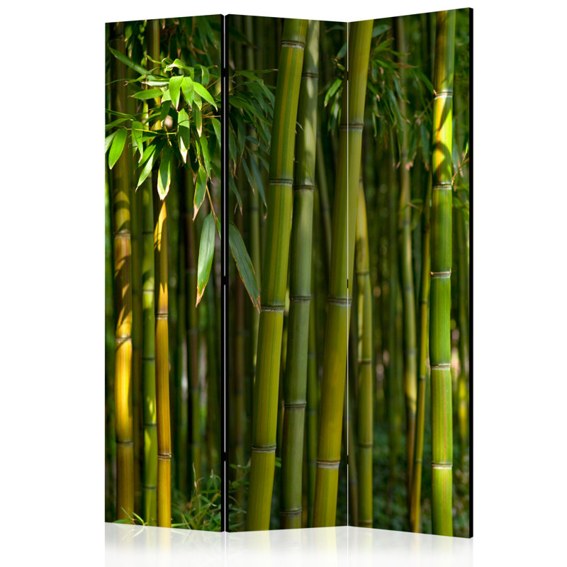 Pattinson 172cm H Folding Room Divider, 3