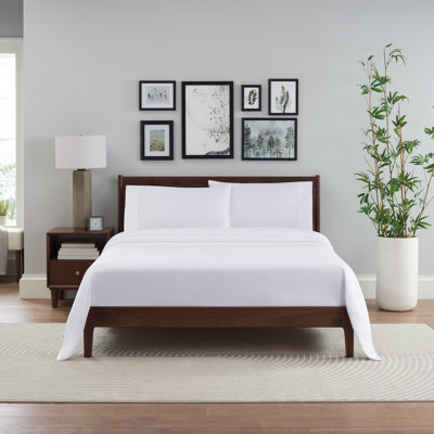 Rayon Sheet Set