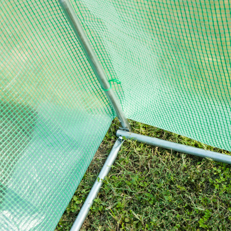 Walton Polytunnel Greenhouse with Windows and Door for Garden, 3m W x 2m D