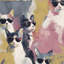 Papier peint chats lunettes de soleil fantaisiste-967179588
