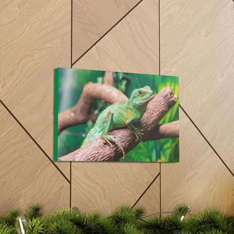 Wall Art on Canvas