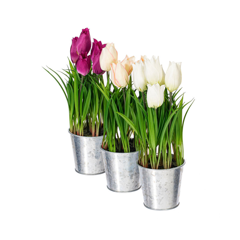 Arrangement floral de tulipes en pot
