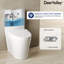 Toilette allongée moderne monobloc Ace 1,6 GPF-88234901-111041675