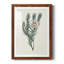 Protea N33 - Peinture encadrée-1258477351-1258477350
