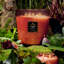 Forbidden Fig 5 Wick Hearth Candle
