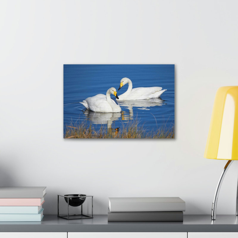 No Frame Print on Canvas, 27.94cm H x 35.56cm W