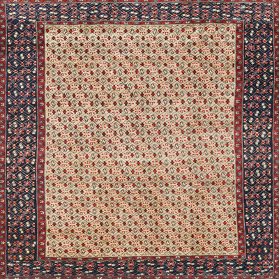 Oriental Indoor Rug