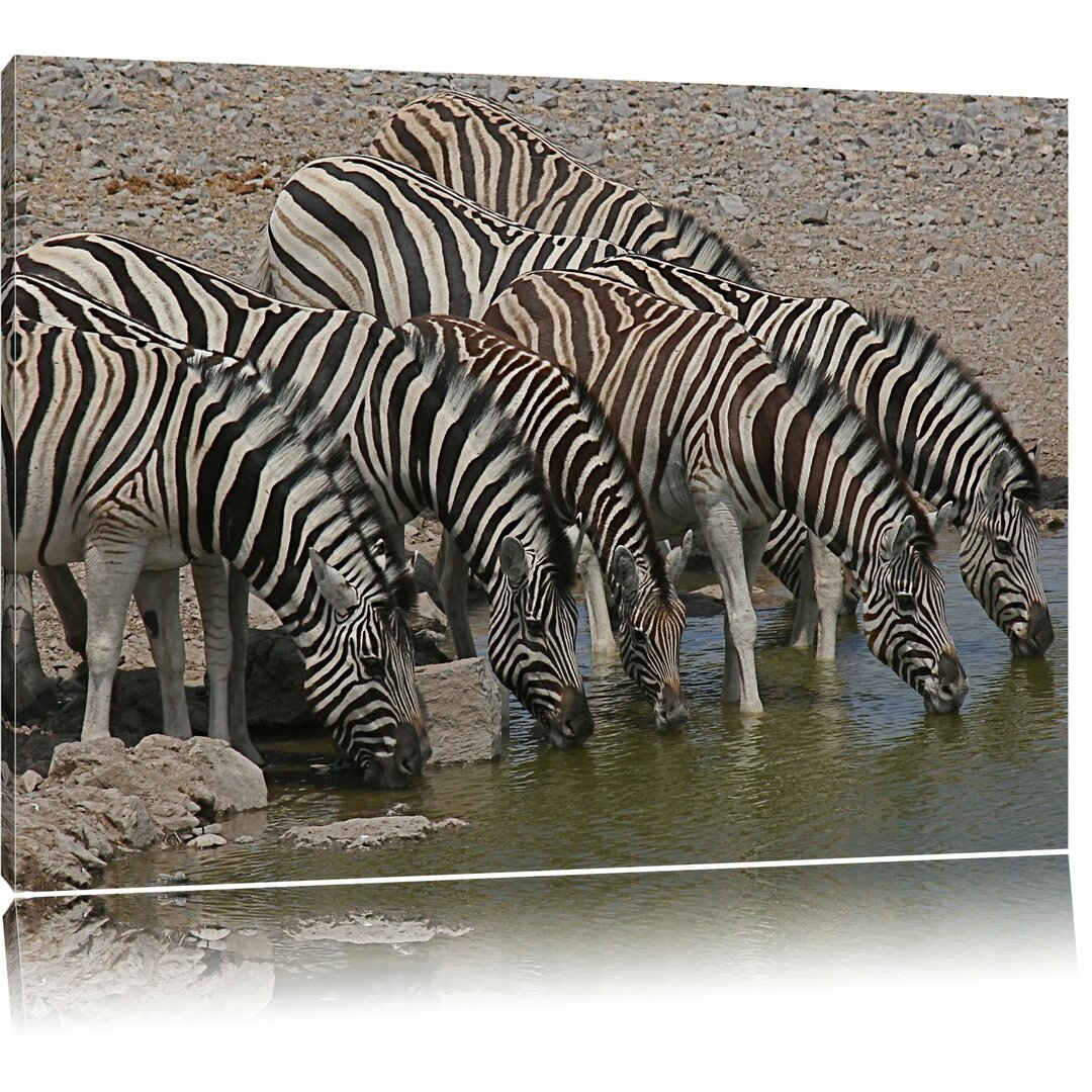 Leinwandbild Zebrafamilie an einem Wasserloch