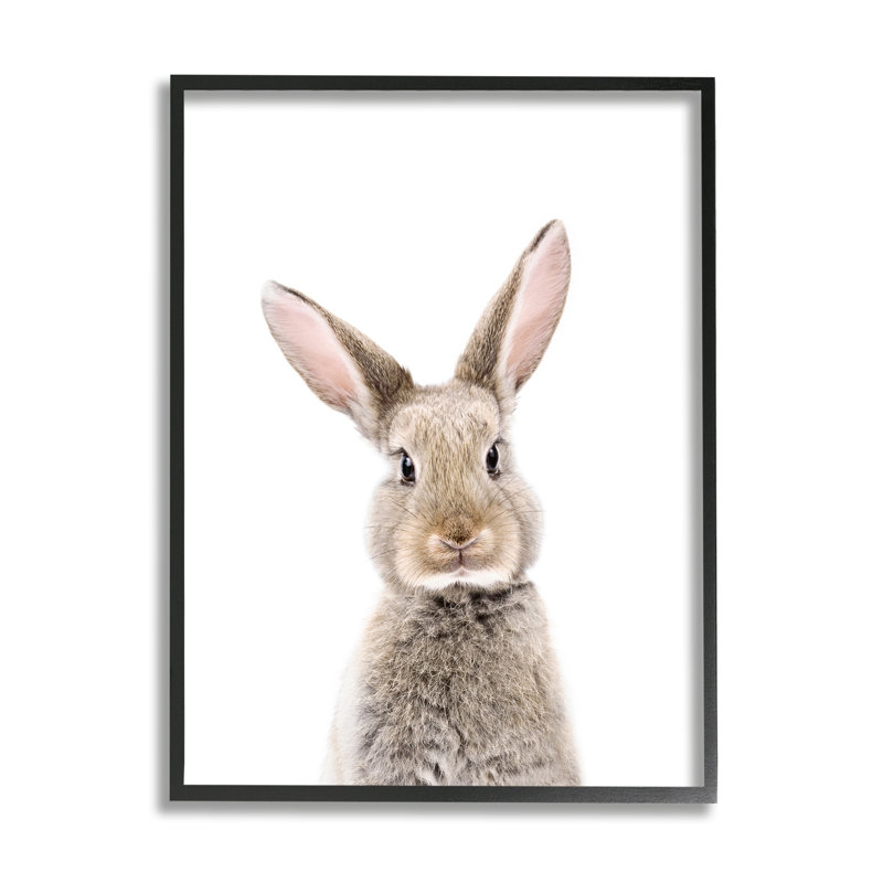 «Rabbit Face», impression encadrée sur bois, Giclée encadrée noir minuit, H 14 po x l 11 po x P 1,5 po