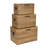 Sable Set of 3 Trunks with Gold Handles-2046904636