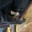 Photos des clients 2 de 2