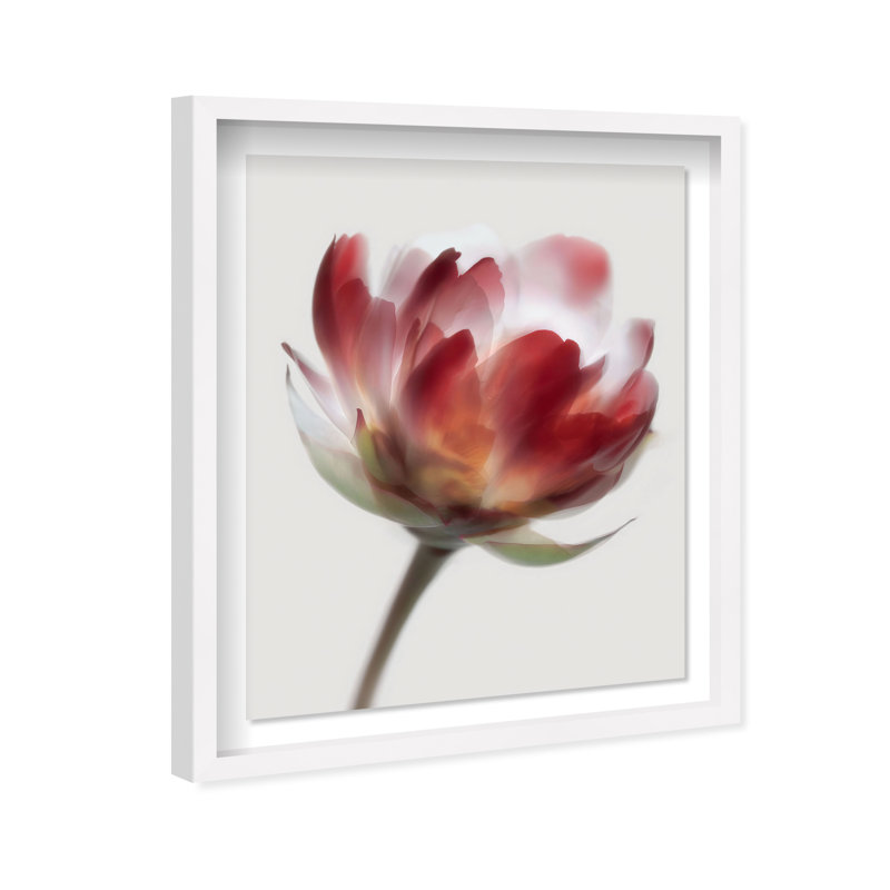 Crimson Core II Shadowbox Abstract Print by Oliver Gal, Black Frame, 16 x 20, 21.5"H x 25.5"W, White Shadowbox