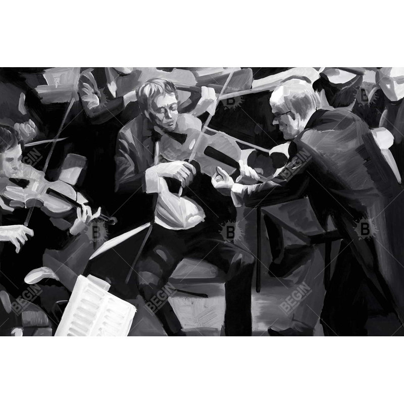 " Symphony Orchestra Performing "