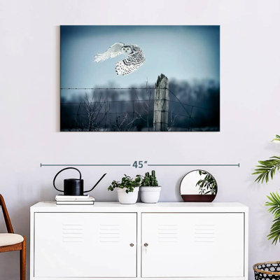 Brampt Winter Snowy Owl IV