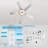 Leunne 52'' Ceiling Fan