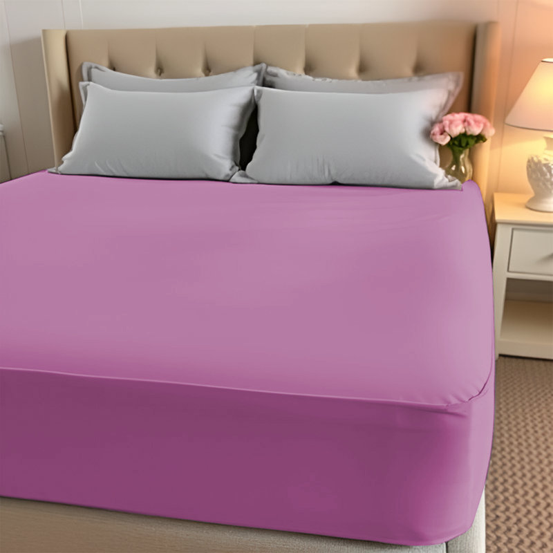 Paul's Microfibre Super Soft Brushed Deep Fitted Bed Sheet, Single (3'), Purple