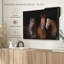" Brown Stallion Horses Canvas Print "-101456464