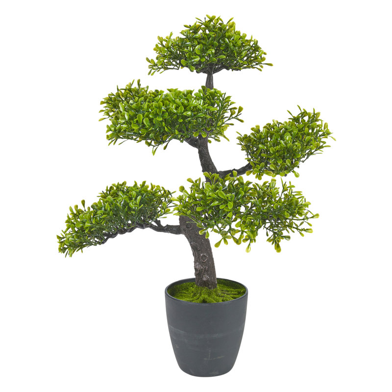 49cm Faux Bonsai Plant in Planter