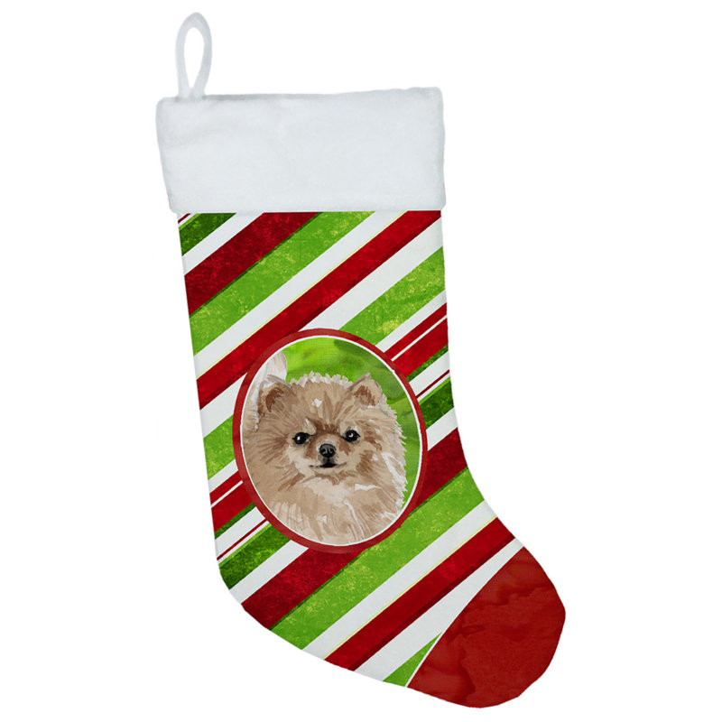Chaussette de noël à rayures à sucre, Loulou de Poméranie