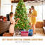 Arbre de Noël pin vert-529796853