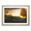 Sheep in Sweden in Abstract - Picture Frame Graphic Art Print-55764626-55764628