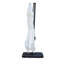 Alaisia 300cm Cantilever Parasol-25468622-25591914