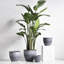 Higold - 10.6 Inch Plastic Plant Pot, Round Garden Pot, Plant Container, Indoor/outdoor Using, Great Home Decoration, Gift For Birthday, Housewarming, Dark Gray, Set Of 2