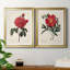«Red Botanical III», ensemble de 2 reproductions d'art sur toile encadrées-61455409-61455415