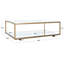 Florabella Glass Coffee Table