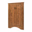 Armoire d'appoint d'angle à 2 portes-138633557-138451865