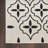 Nourison Essentials Ivory/Black Indoor/Outdoor Area Rug-299995689