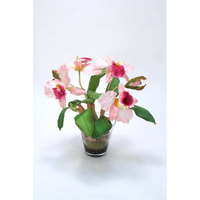 Arrangement floral orchidée cattleya dans un pot de verre