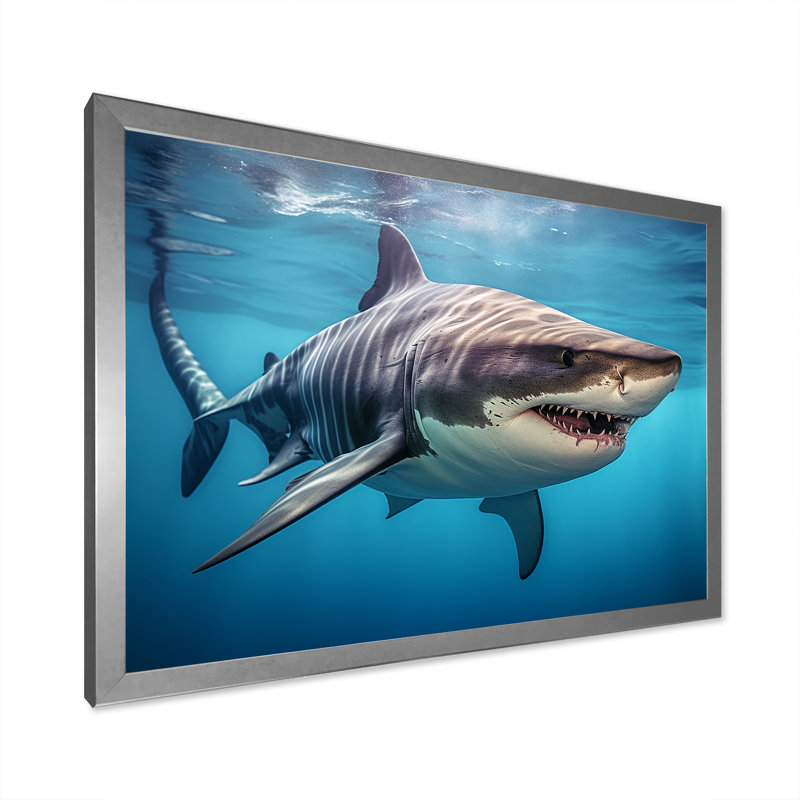 Tiger Shark Territory III - Shark Framed Wall Art, Silver Single Picture Framed, 16" H x 32" W x 1" D