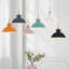 Luminaire suspendu en forme de dôme à 1 lumière Ozma-218796545