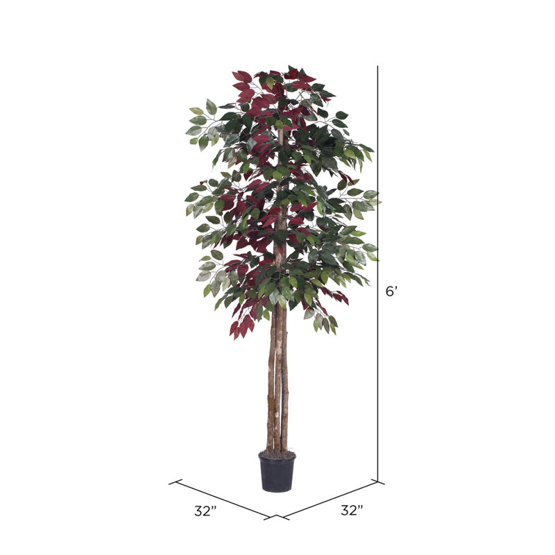 Plante artificielle de 72 po Capensia