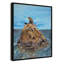 Imprimé Rashebia Seal Rock par Mike Ragan pour-752099589-752099585