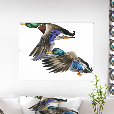 Canard coloré dessiné à la main, œuvre d’art blanche isolée-imprimé Sketch