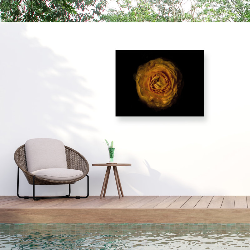 «Bolologic Fleurs de l'arrière-cour 73» sur toile, H 18 po x l 24 po