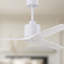 Mollywood - 42" Ceiling Fan - Textured Bronze Finish - Matte Black Blades-465838809-413141962-465038781