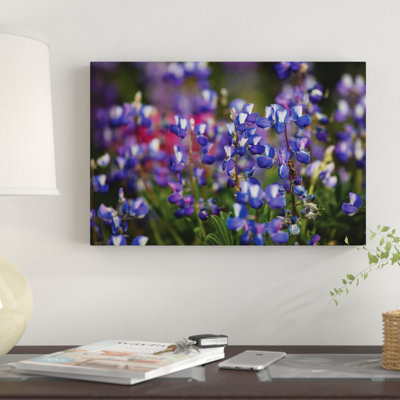 Close-Up Of Wildflowers, Mount Rainier National Park, Washington State, USA IV by Panoramic Images - Wrapped Canvas Gallery-Wrapped Canvas Giclée