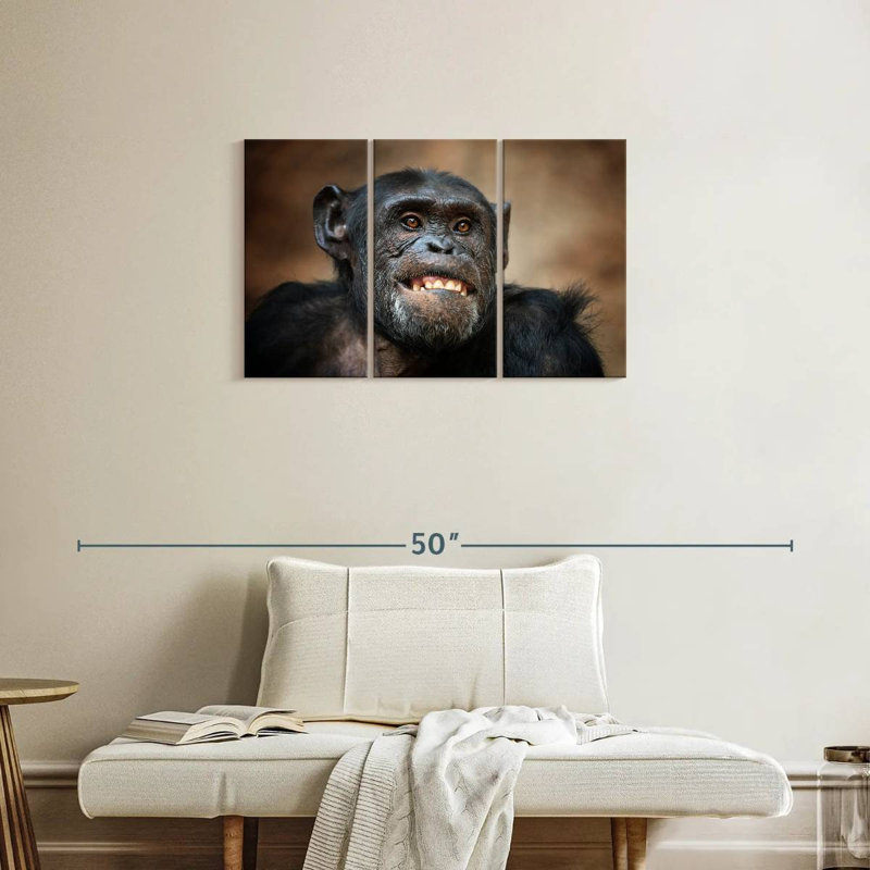 Drôle de chimpanzé, H 20 po x l 33 po