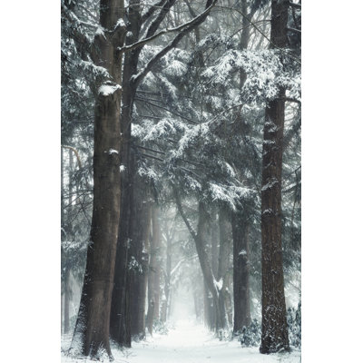 Reproduction de neige sur toile par Martin Podt