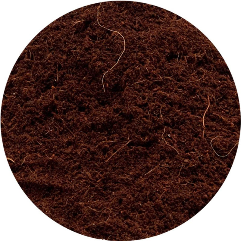 Royal Gold Coco Growing Kit