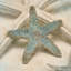 " Coastal Gems III " by John Seba-380698180