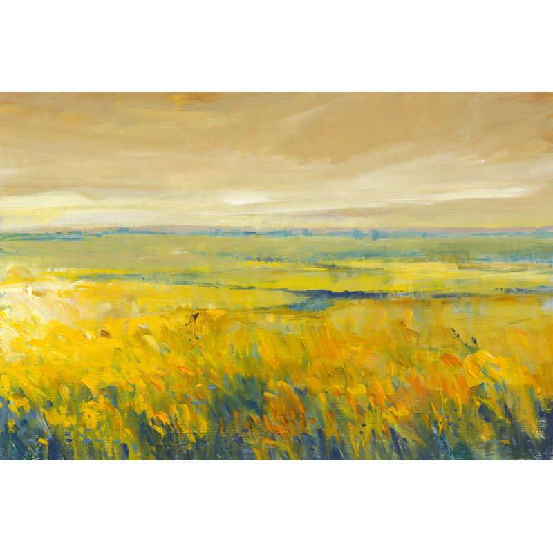 Hot Summer Day I by Tim OToole - Wrapped Canvas Print, 30cm H x 46cm W