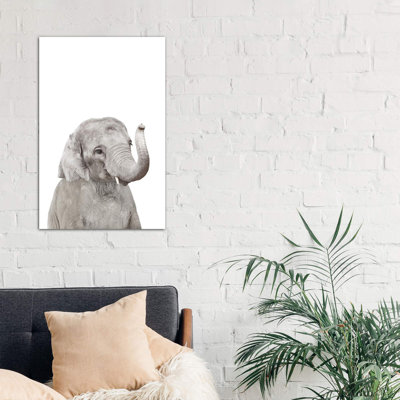 Baby Elephant - Wrapped Canvas Print