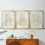 Gilded Algae IV - Toile tendue avec châssis sur mesure - 3 pièces-532067225-532067224