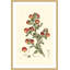 «Antique Floral I», reproduction d'art encadrée-1656850675