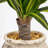 5FT Artificial Brazilian Iron Tree with Thick Trunk – 2-Head Faux Dracaena Fragrans Plant in Vintage White Pot with Yellow Pebbles, Realistic Fake Tree for Indoor Outdoor Home Office Decor, Easy Assembly-693350397